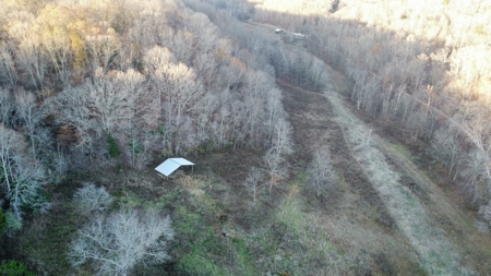 Farm for Sale in Waynesboro, Tennessee - image 49