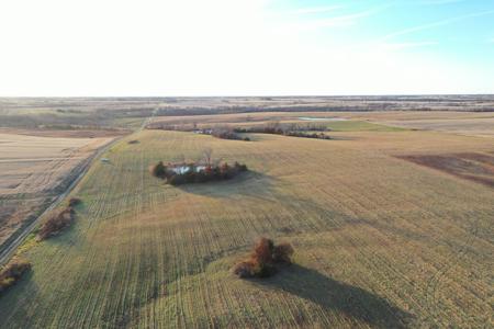 Highly Tillable 80 Acre Farm - image 10