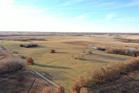 Highly Tillable 80 Acre Farm - image 5