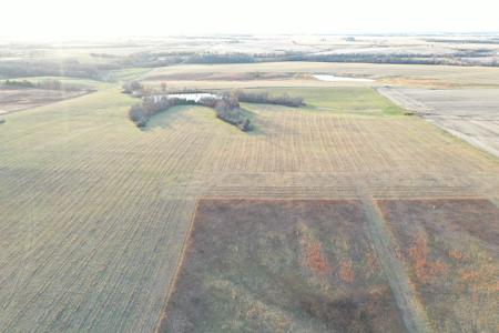 Highly Tillable 80 Acre Farm - image 12