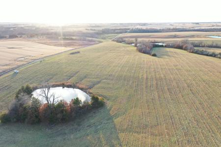 Highly Tillable 80 Acre Farm - image 11