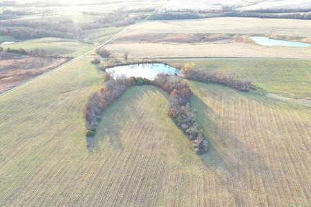 Highly Tillable 80 Acre Farm - image 17