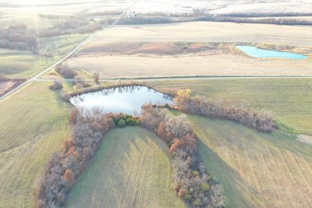 Highly Tillable 80 Acre Farm - image 13