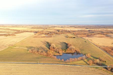 Highly Tillable 80 Acre Farm - image 3