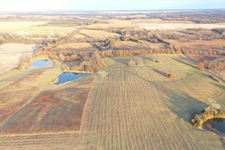 Highly Tillable 80 Acre Farm - image 14