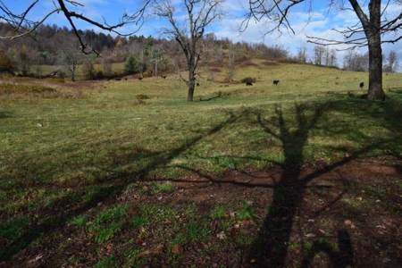 Land For Sale In Floyd Va - image 5