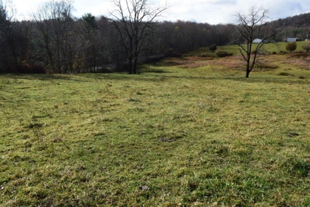 Land For Sale In Floyd Va - image 9