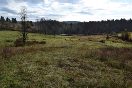 Land For Sale In Floyd Va - image 15