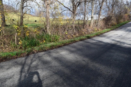 Land For Sale In Floyd Va - image 8