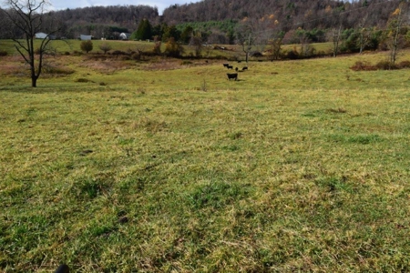 Land For Sale In Floyd Va - image 10