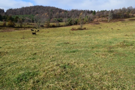 Land For Sale In Floyd Va - image 11