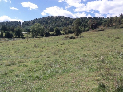 Land For Sale In Floyd Va - image 2