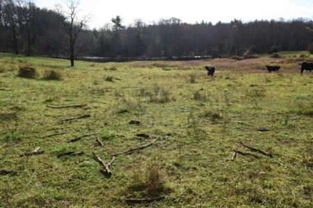 Land For Sale In Floyd Va - image 13
