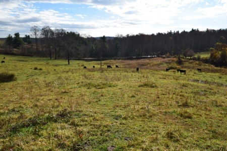 Land For Sale In Floyd Va - image 14