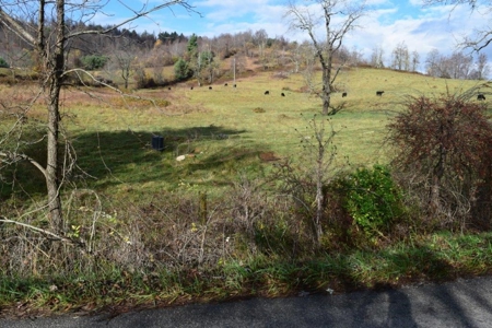 Land For Sale In Floyd Va - image 6