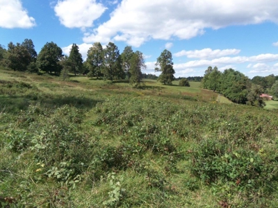 Farmland For Sale In Floyd Va - image 31