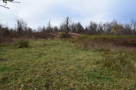Farmland For Sale In Floyd Va - image 15