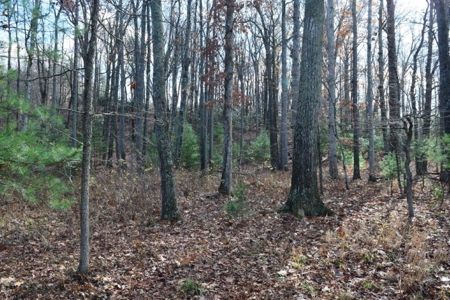 Country Home And Land For Sale In Floyd Va - image 46