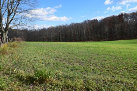 Country Home And Land For Sale In Floyd Va - image 34