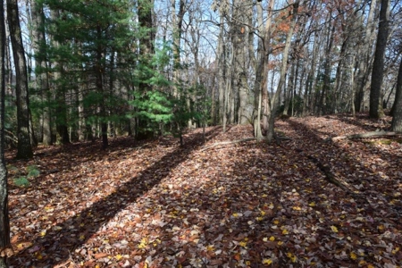 Country Home And Land For Sale In Floyd Va - image 50