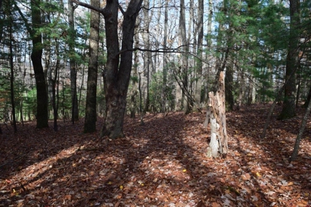 Country Home And Land For Sale In Floyd Va - image 49
