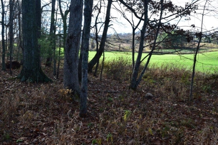Country Home And Land For Sale In Floyd Va - image 47