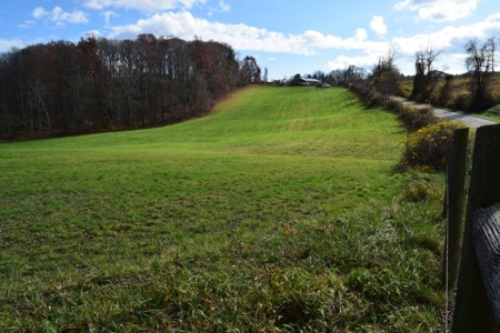 Country Home And Land For Sale In Floyd Va - image 35