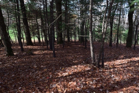 Country Home And Land For Sale In Floyd Va - image 48