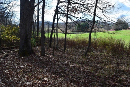 Country Home And Land For Sale In Floyd Va - image 42