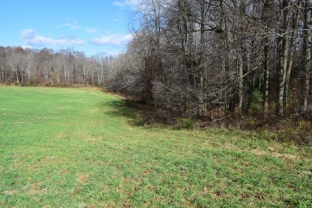 Country Home And Land For Sale In Floyd Va - image 38