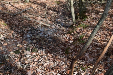 Country Home And Land For Sale In Floyd Va - image 44