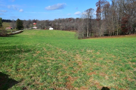 Country Home And Land For Sale In Floyd Va - image 37