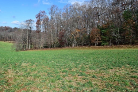 Country Home And Land For Sale In Floyd Va - image 36