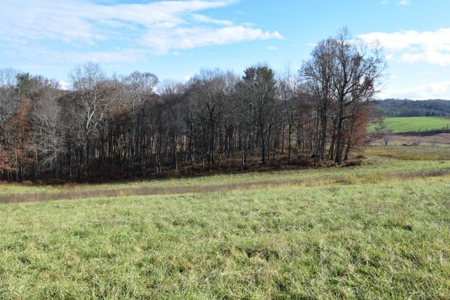 Open Pasture Land For Sale In Floyd Va! - image 13