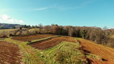 Open Pasture Land For Sale In Floyd Va! - image 43