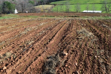 Open Pasture Land For Sale In Floyd Va! - image 22
