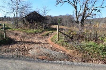 Open Pasture Land For Sale In Floyd Va! - image 29