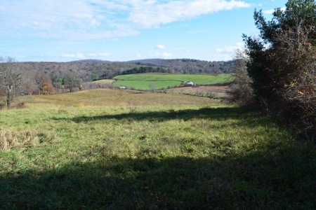Open Pasture Land For Sale In Floyd Va! - image 10