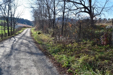 Open Pasture Land For Sale In Floyd Va! - image 26