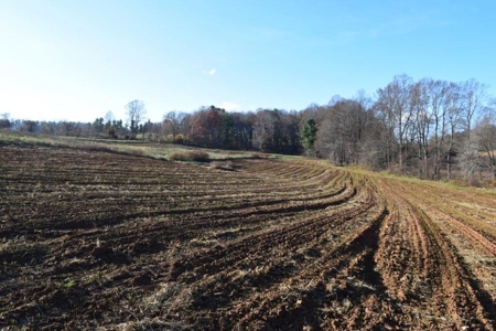 Open Pasture Land For Sale In Floyd Va! - image 35