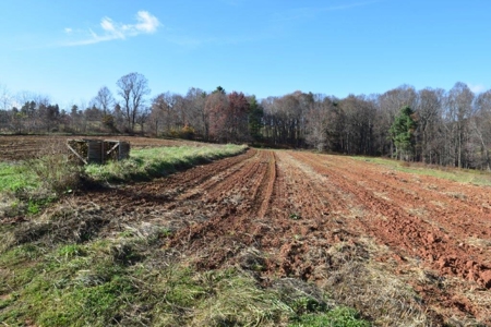 Open Pasture Land For Sale In Floyd Va! - image 25
