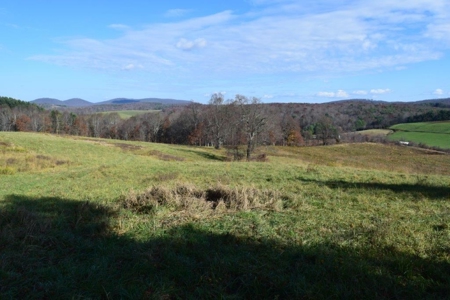 Open Pasture Land For Sale In Floyd Va! - image 11