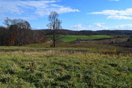 Open Pasture Land For Sale In Floyd Va! - image 12