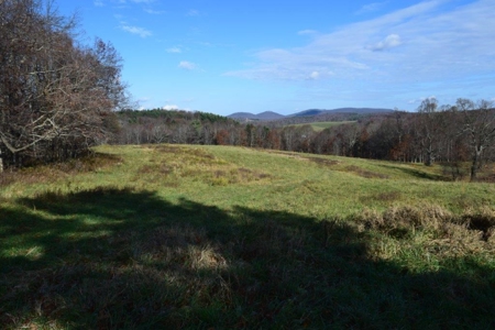 Open Pasture Land For Sale In Floyd Va! - image 9