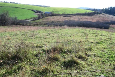 Open Pasture Land For Sale In Floyd Va! - image 20
