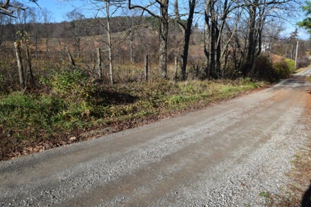 Open Pasture Land For Sale In Floyd Va! - image 28