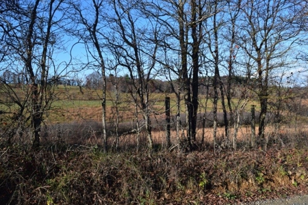 Open Pasture Land For Sale In Floyd Va! - image 33