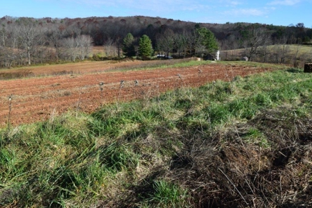 Open Pasture Land For Sale In Floyd Va! - image 23