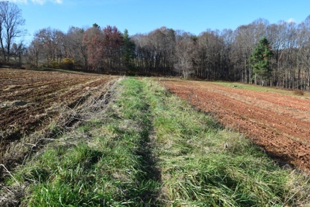 Open Pasture Land For Sale In Floyd Va! - image 24