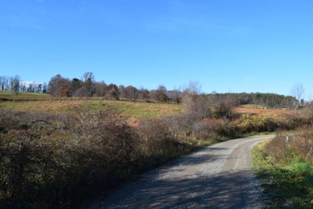 Open Pasture Land For Sale In Floyd Va! - image 34